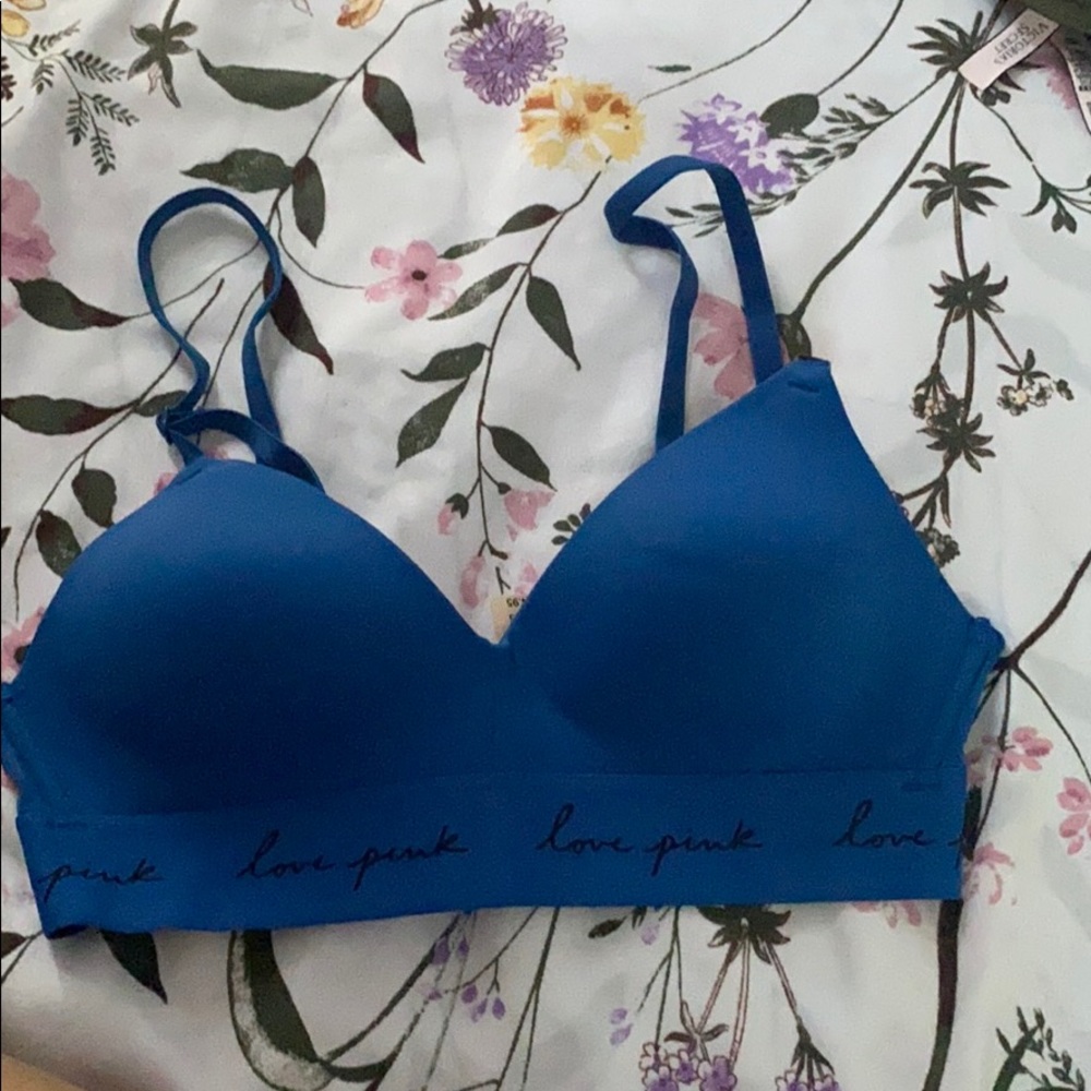 A blue Pink bra with tags on!